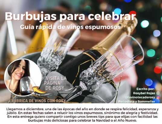 rubrica vinos burbujas celebrar guía rápida vinos espumosos buengusteros 20 diciembre 22