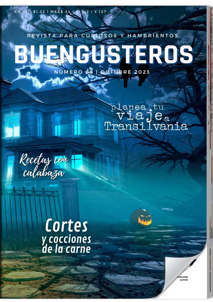 revista buengusteros n 29