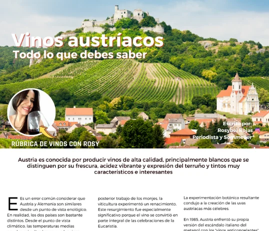 buengusteros n 31 vinos austriacos