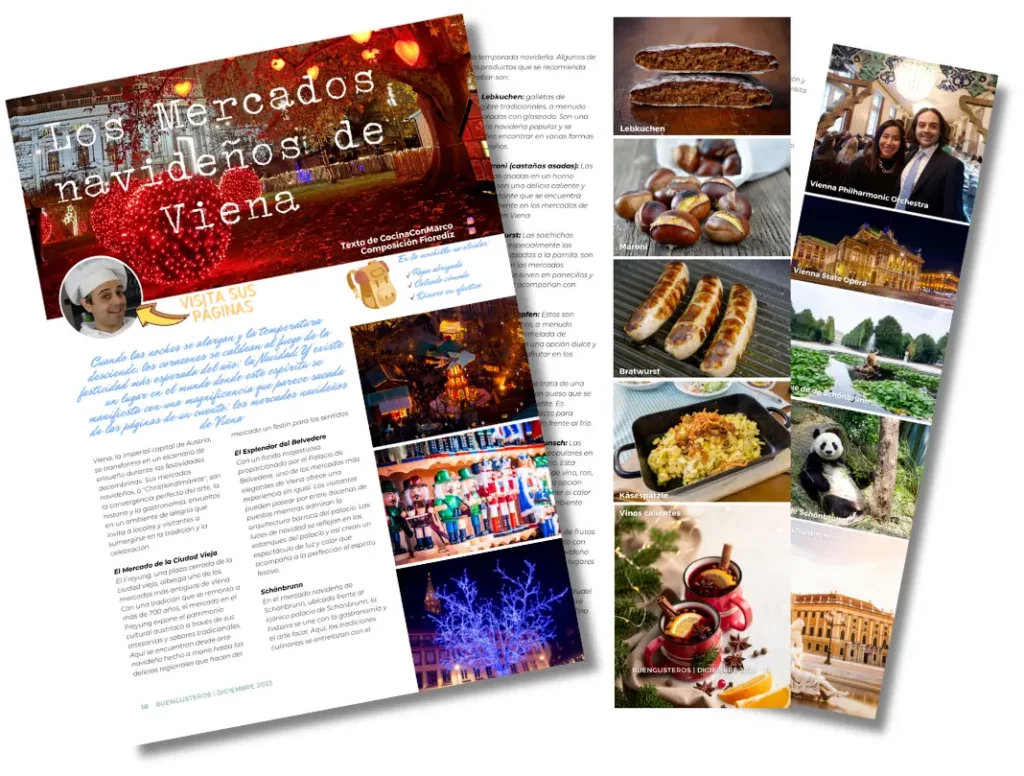 buengusteros n 31 viaje mercados navideños de vienna
